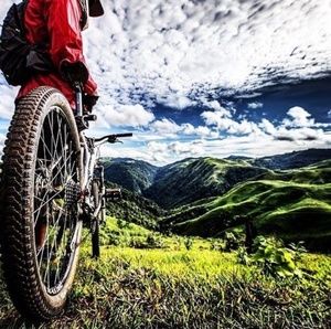 Meet your Posher, Ronnie